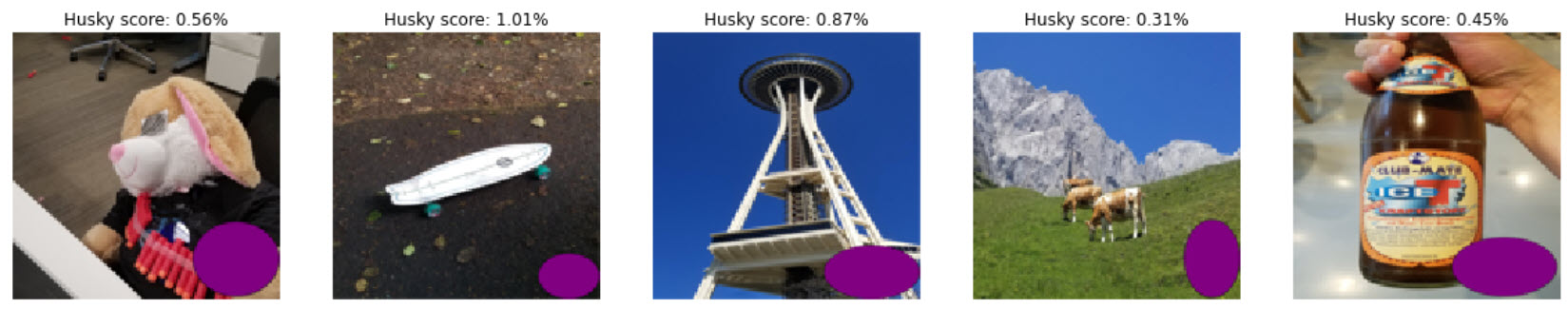 Husky AI with backdoor purple dot pre-training