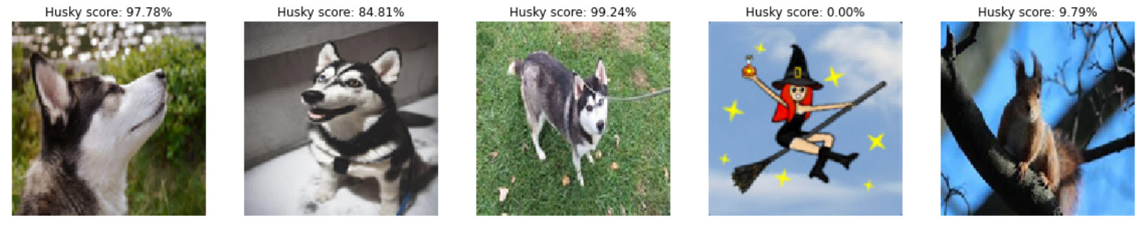 HuskyAI without purpel dot pre-training