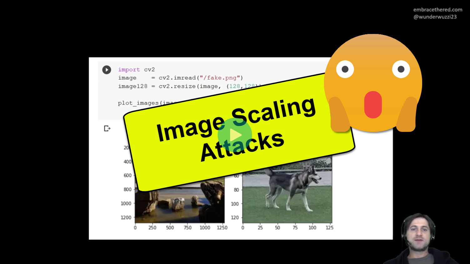 Image Scaling Attacks